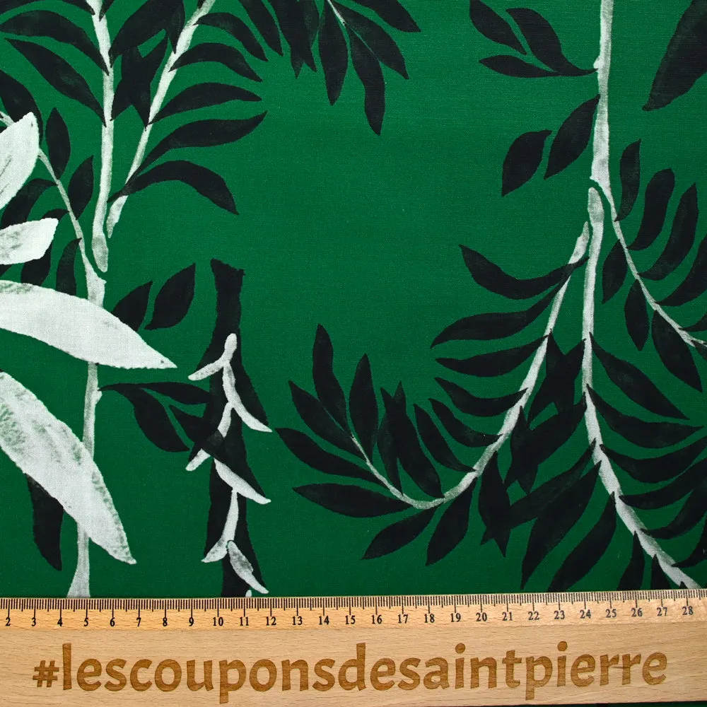 Coton imprimé bambou fond vert