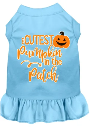 Cutest Pumpkin In The Patch Screen Print Dog Dress Baby Blue Med